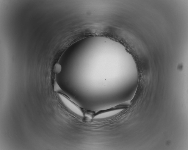 X0000097900221200803211449