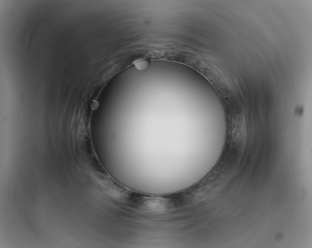 X0000097900226200803211449
