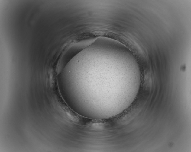 X0000097900228200803211449