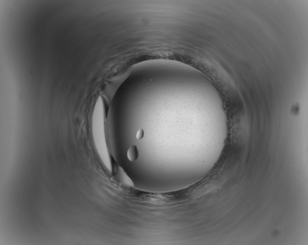 X0000097900229200803211449