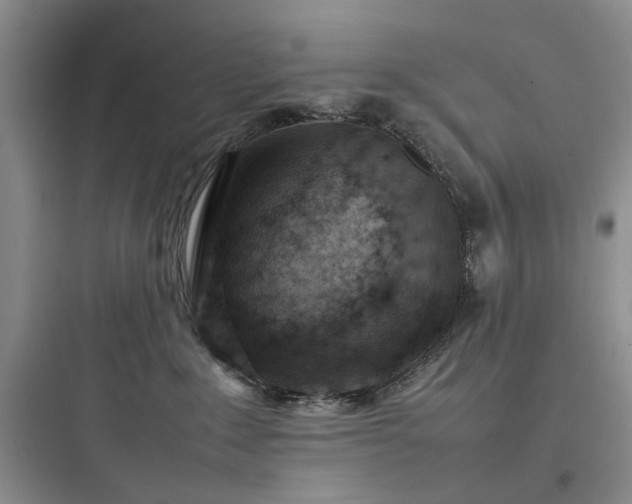 X0000097900235200803211449