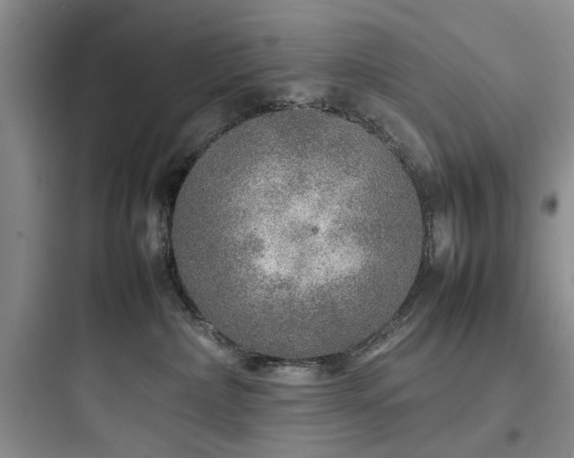 X0000097900236200803211449