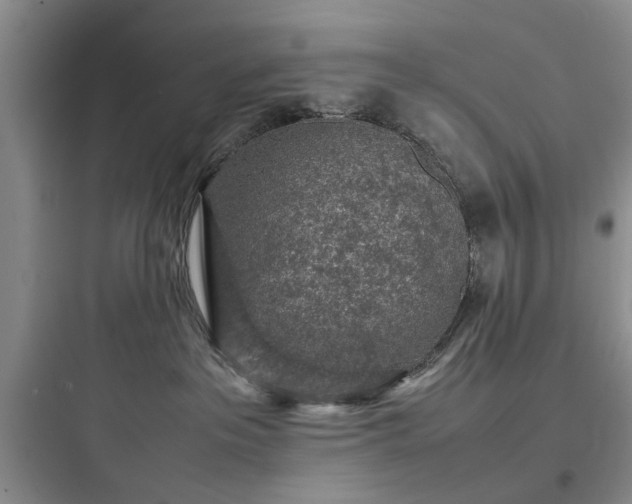X0000097900237200803211449