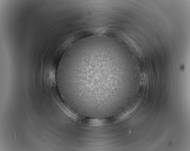 X0000097900238200803211449