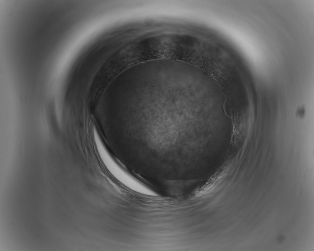 X0000097900239200803211449