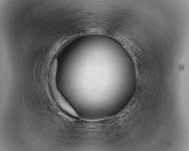 X0000097900241200803211448
