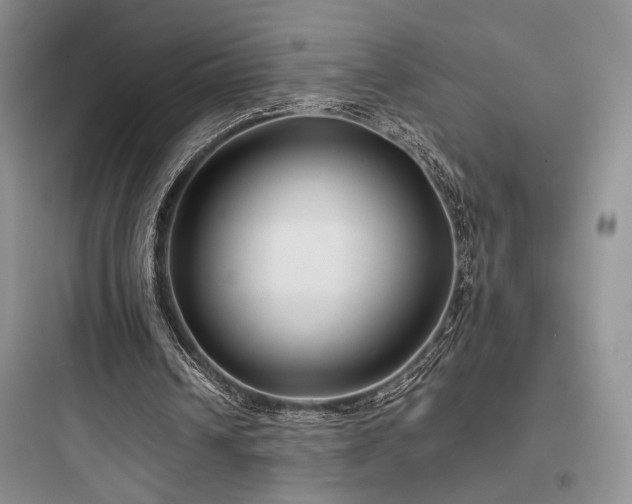 X0000097900242200803211448