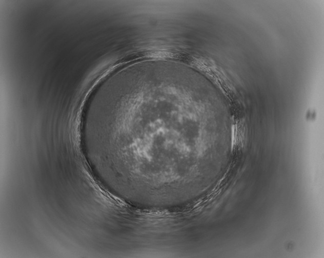 X0000097900243200803211448