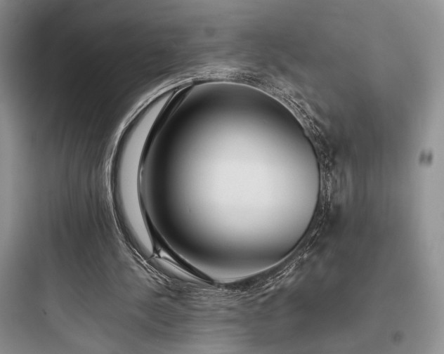 X0000097900244200803211448