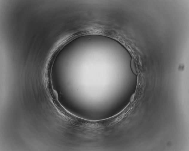 X0000097900245200803211448