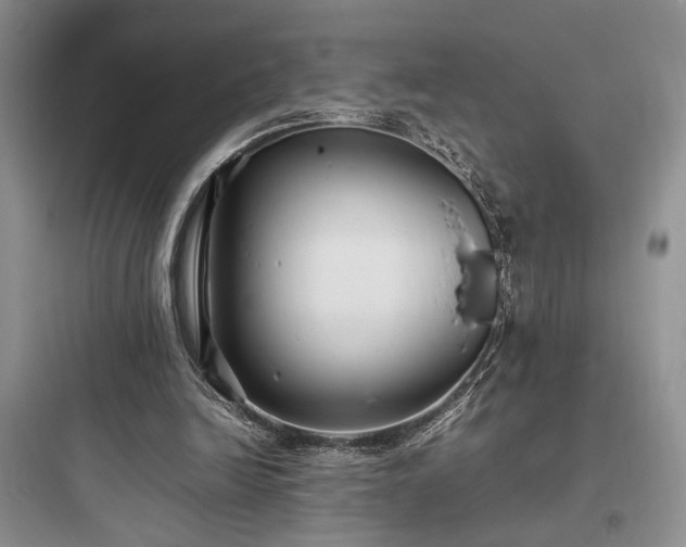 X0000097900246200803211448