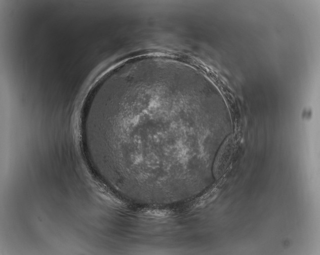 X0000097900247200803211448