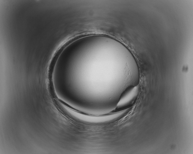 X0000097900248200803211448