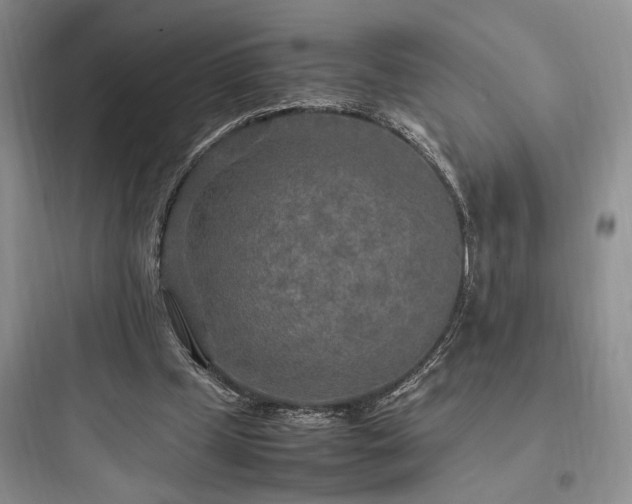 X0000097900249200803211448