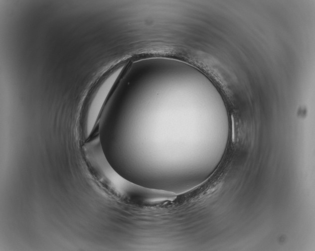 X0000097900252200803211448