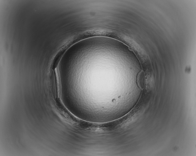 X0000097900254200803211448