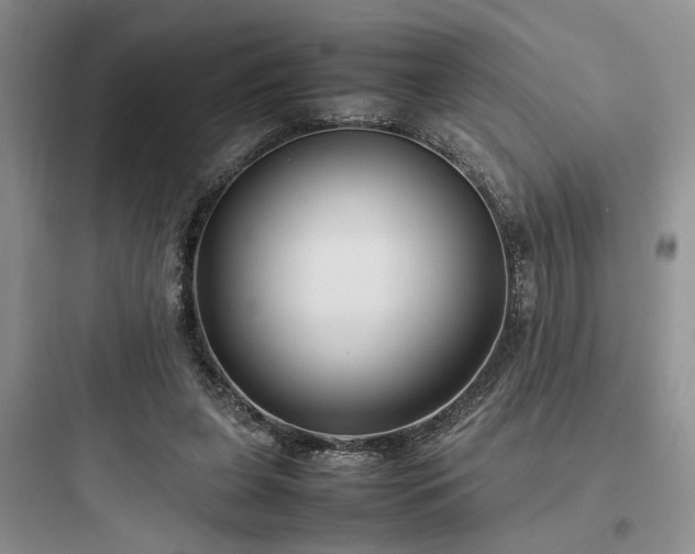 X0000097900255200803211448