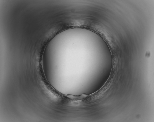 X0000097900257200803211448