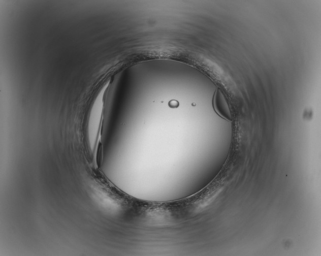 X0000097900258200803211448