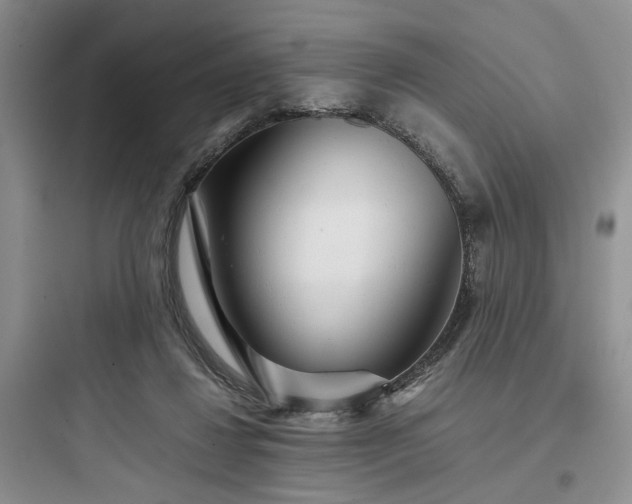 X0000097900260200803211448