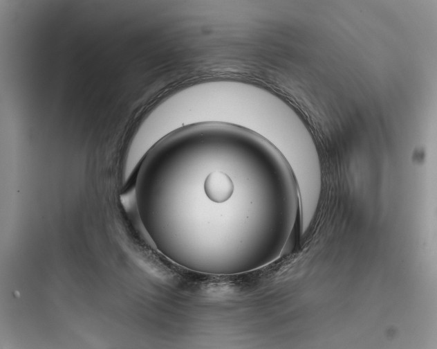 X0000097900262200803211448