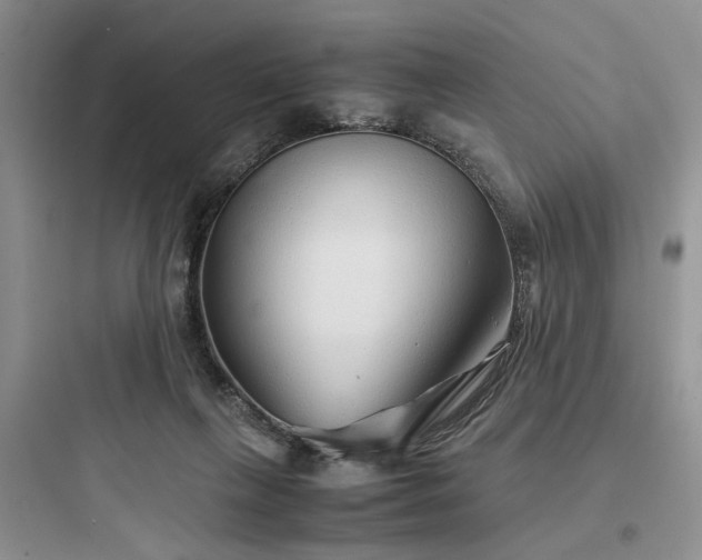 X0000097900263200803211448