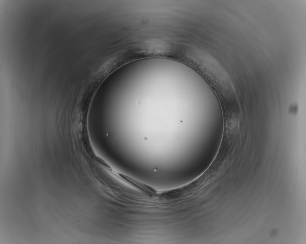 X0000097900264200803211448