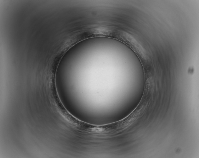 X0000097900265200803211448