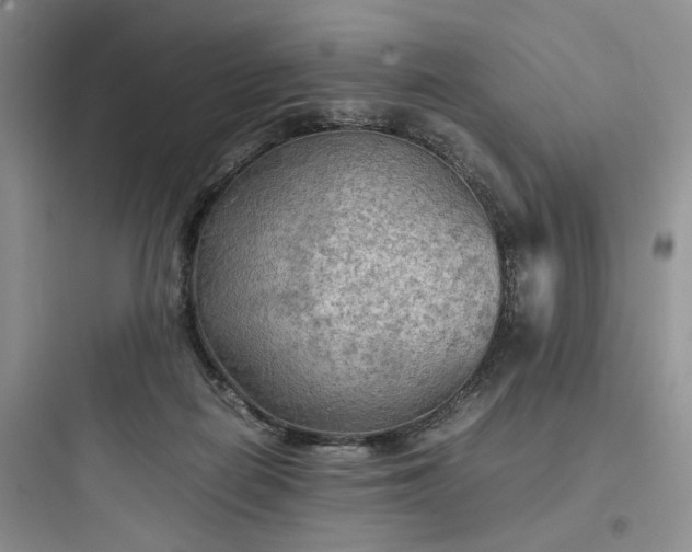 X0000097900266200803211448