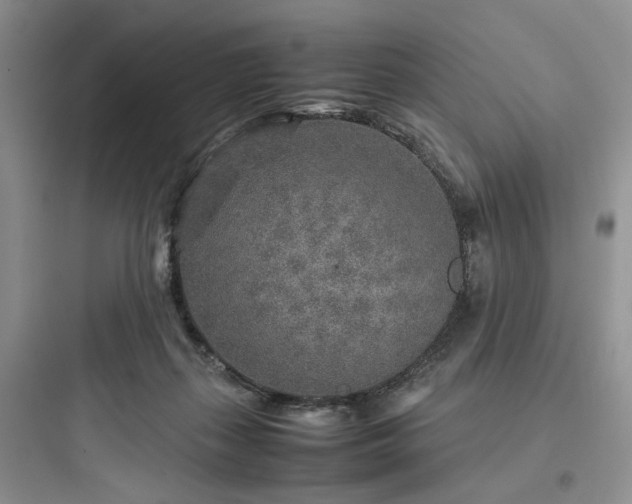X0000097900267200803211448