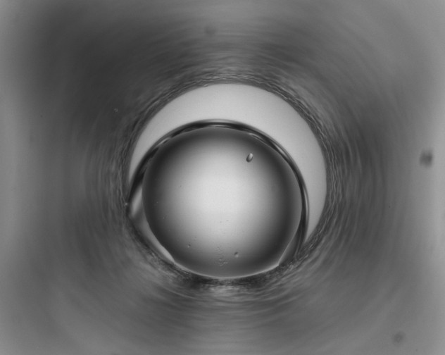 X0000097900268200803211448