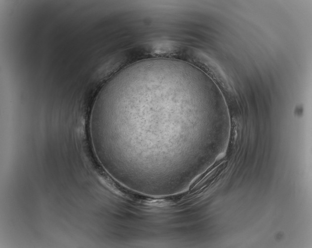 X0000097900269200803211448