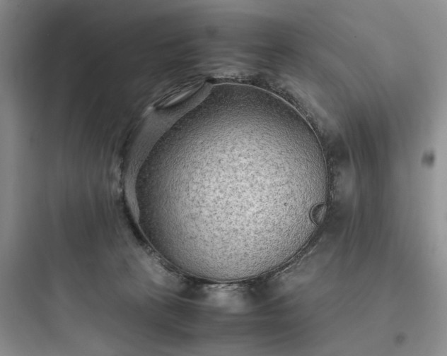 X0000097900273200803211448