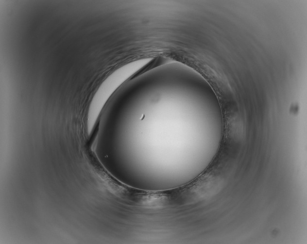 X0000097900274200803211448