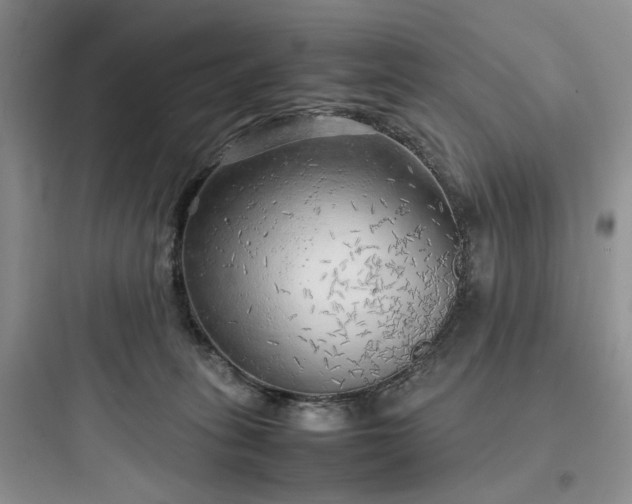 X0000097900275200803211448