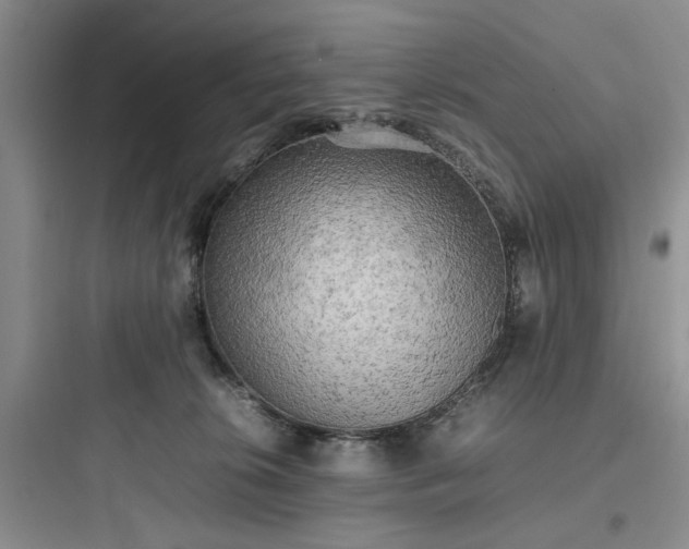 X0000097900276200803211448