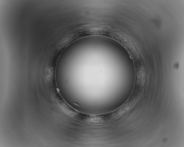 X0000097900278200803211448