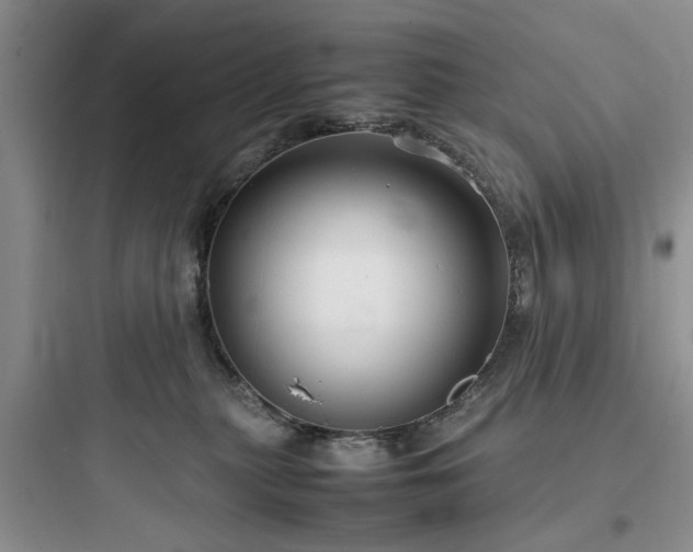 X0000097900279200803211448