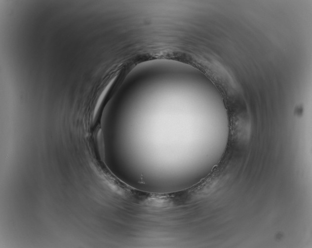 X0000097900280200803211448