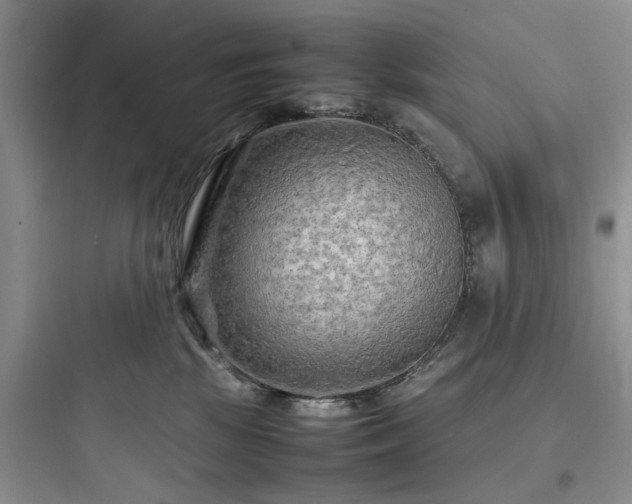 X0000097900281200803211449