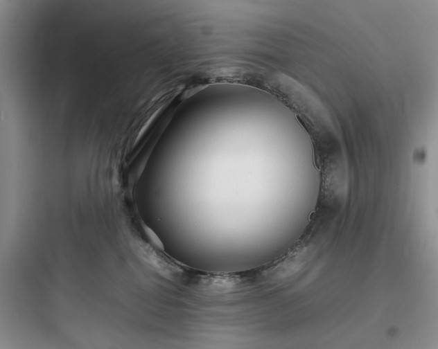 X0000097900282200803211449