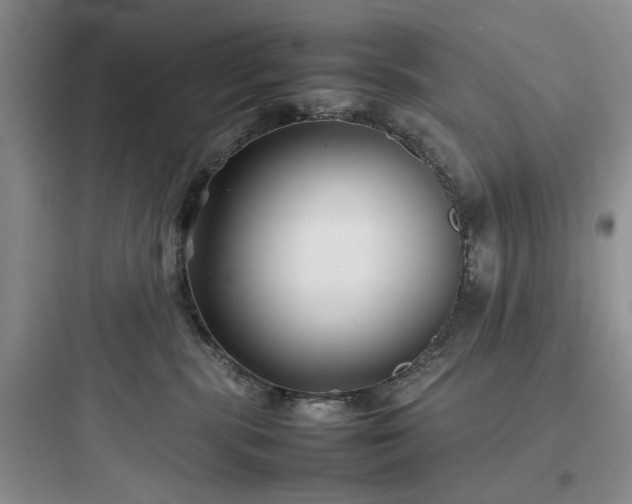 X0000097900283200803211449