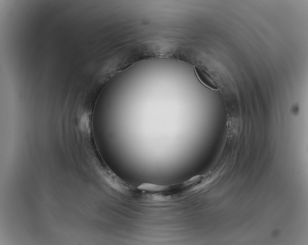 X0000097900286200803211449