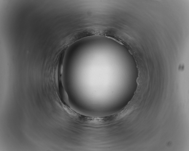 X0000097900288200803211449
