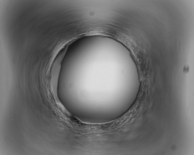X0000097900289200803211448