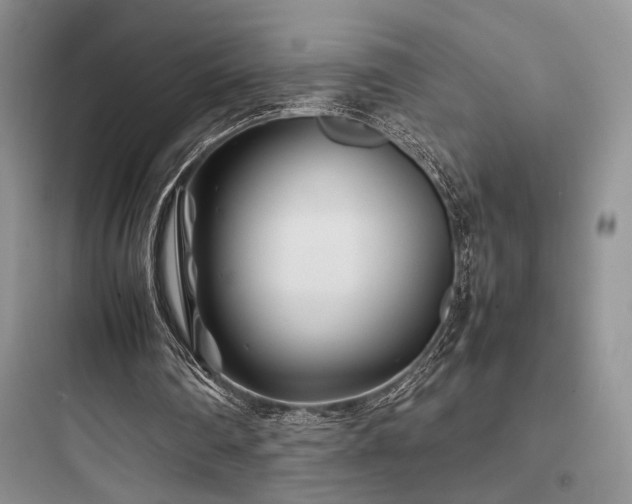 X0000097900290200803211448
