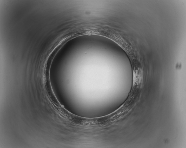 X0000097900291200803211448