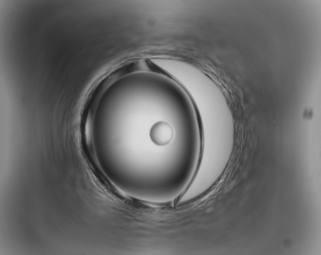 X0000097900293200803211448