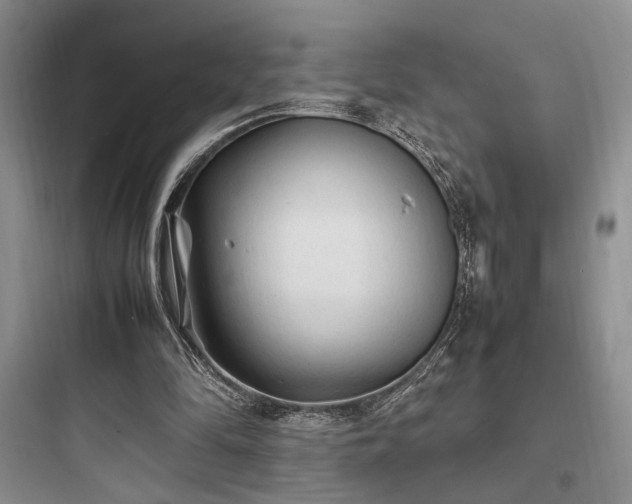 X0000097900294200803211448
