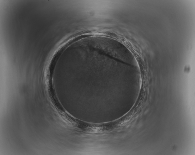 X0000097900295200803211448